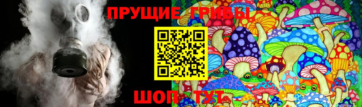 Псилоцибиновые грибы прущие грибы Камышин